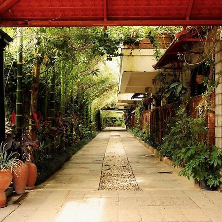 The Green Path Eco Hotel バンガロール エクステリア 写真